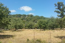 Property 18479 photo 2