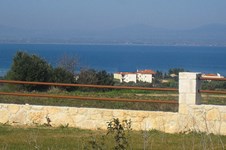 Property 185 photo 21