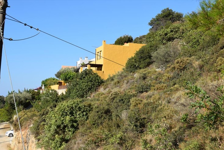 Realty photo 3