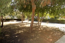 Property 18517 photo 29
