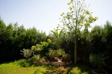 Property 18524 photo 36