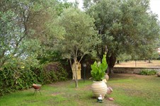 Property 18557 photo 4