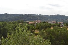 Property 18557 photo 31