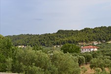 Property 18557 photo 32