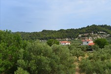 Property 18557 photo 34