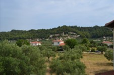 Property 18557 photo 35