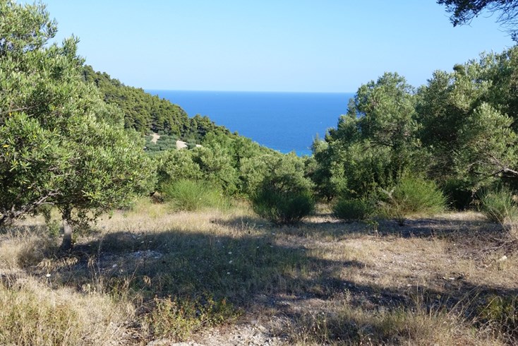 Realty photo 1