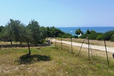 Property 18649 photo 3