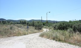 Land 3500 m² in Sithonia, Chalkidiki