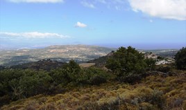 Land 4000 m² auf Kreta