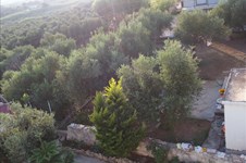 Property 18884 photo 22