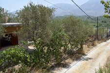 Property 18884 photo 13