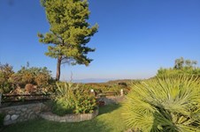 Property 189 photo 5