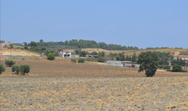 Land 6300 m² in Kassandra, Chalkidiki