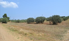Land 4500 m² in Kassandra, Chalkidiki