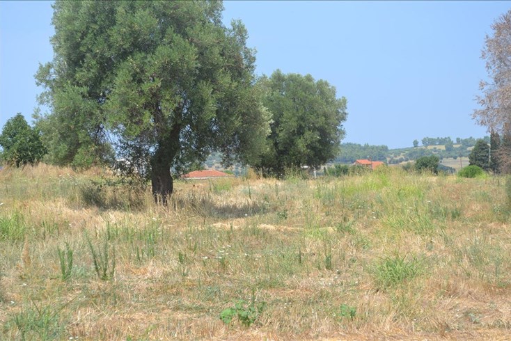 Realty photo 1