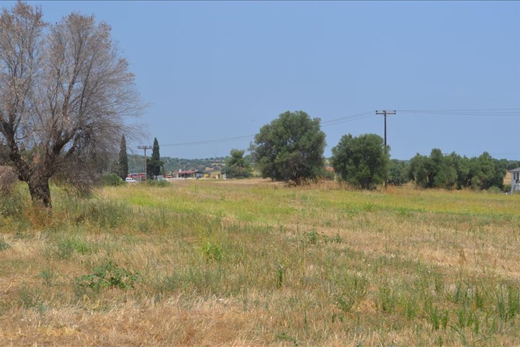 Realty photo 3