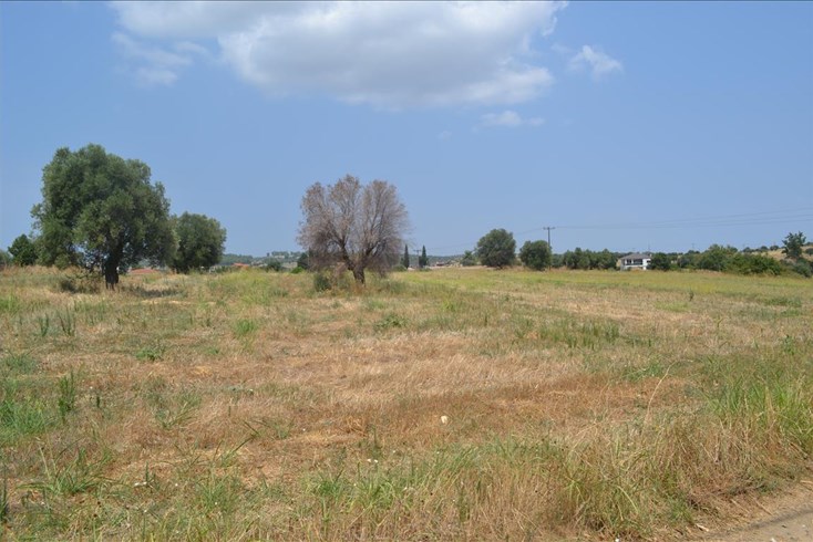 Realty photo 2