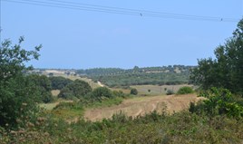 Terrain 10500 m² à Kassandra (Chalcidique)