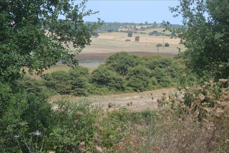 Realty photo 2