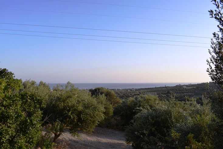 Realty photo 2