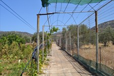 Property 18957 photo 5