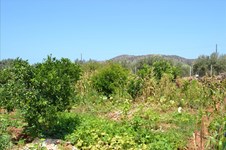 Property 18957 photo 6