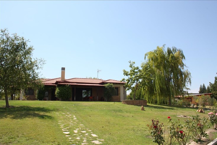 Realty photo 2