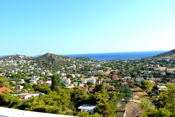 Realty photo 1