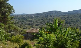 Land 3500 m² auf Korfu