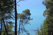 Property 19114 photo 1