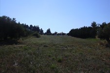 Property 19114 photo 5