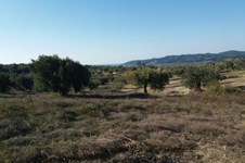 Property 19114 photo 4