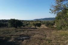 Property 19114 photo 3