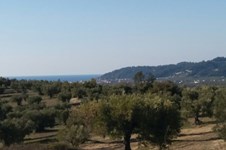 Property 19114 photo 6