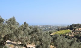 Land 1760 m² in Crete