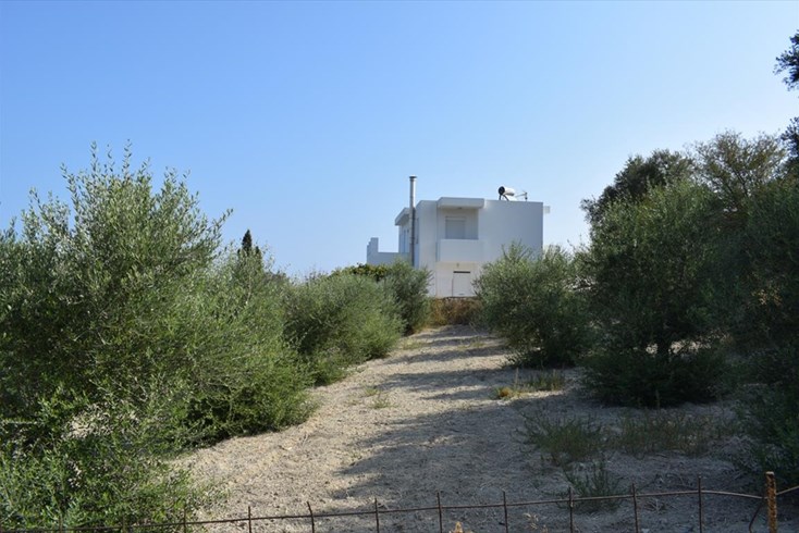 Realty photo 2