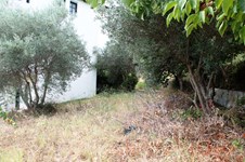 Property 19198 photo 7