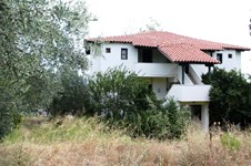 Property 19198 photo 8