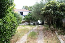 Property 19198 photo 15