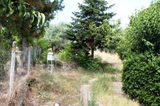 Property 19198 photo 17
