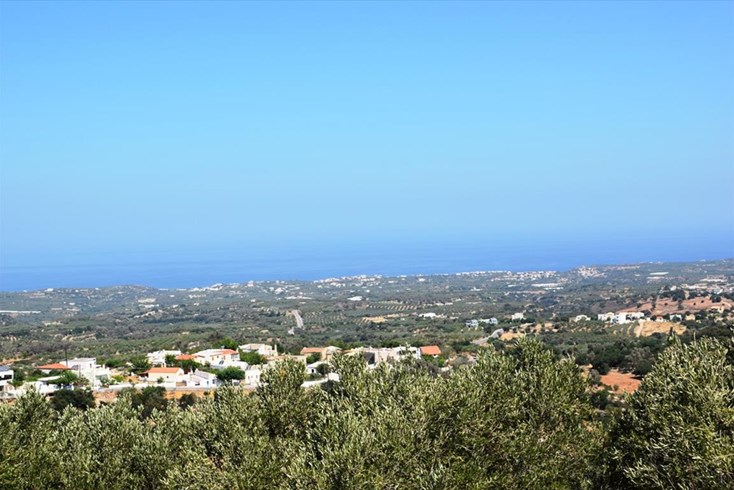 Realty photo 3