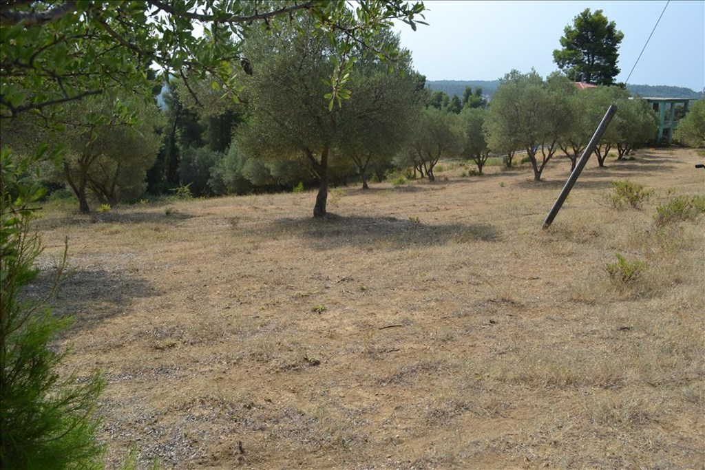 For Sale - Land 600 m² in Kassandra, Chalkidiki