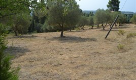 Zemljište 600 m² na Kasandri (Halkidiki)