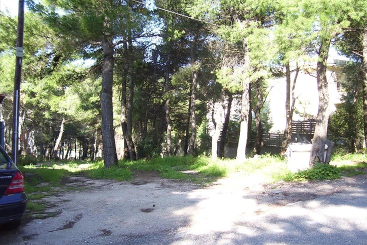 Realty photo 1
