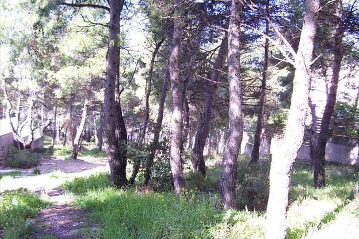 Realty photo 3