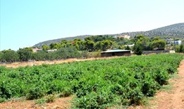 Zemljište 4000 m² na Atici