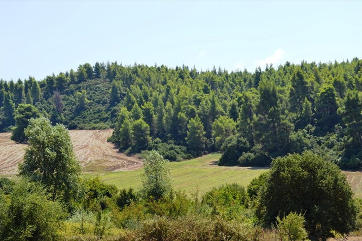 Realty photo 2