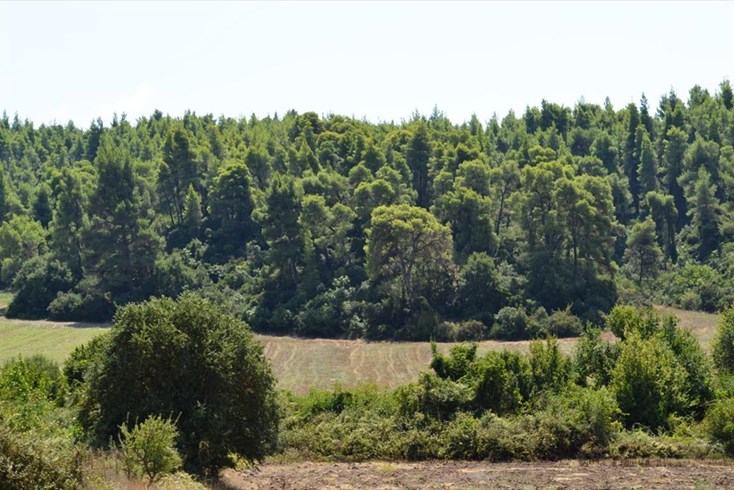 Realty photo 3