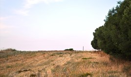 Land 1300 m² in Kassandra, Chalkidiki